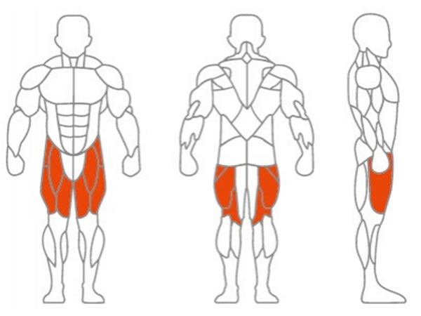 العضلات المستهدفة الرئيسية: الجزء الأمامي من عضلة الفخذ